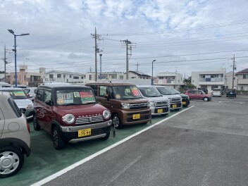 スズキの初売り！！